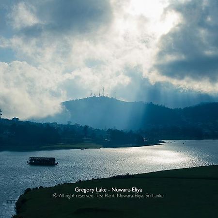 Tea Plant Nuwara Eliya Villa Exterior photo